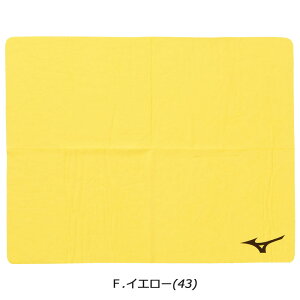 ~Ym z^I (44×68cm) XC^I Z[^I XCANZT ^ j v[ XC~O   C N2JYB010 { MIZUNO
