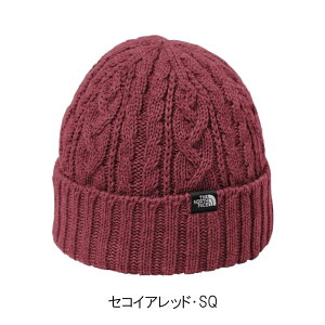 UEm[XEtFCX P[ur[j[ jZbNX jbgX P[u҂ JWA AEghA XL[ ig NN42334 THE NORTH FACE 2025H~