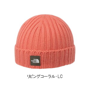 UEm[XEtFCX Jvb`bh xr[ c jbgX h AEghA XL[ OV ʉ NNB42401 THE NORTH FACE 2025H~