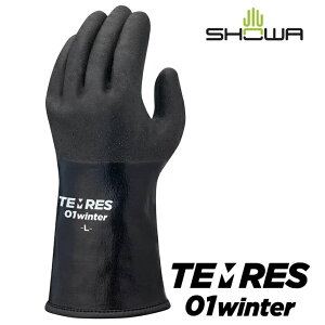 V[ eX EB^[O[u eX01EB^[ TEMRES 01 Winter h h  y  XL[ Xm[{[h y y202012Cz