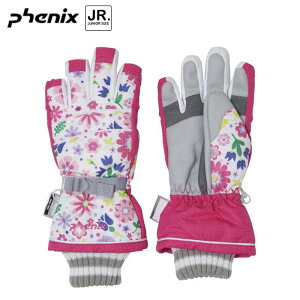 tFjbNX WjA XL[O[u q  XL[ Xm[{[h  h  ʊw PS9H8GL90 WTPK Phenix