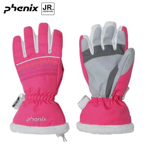 tFjbNX WjA XL[O[u q  XL[ Xm[{[h  h  ʊw PSAH8GL91 PK Phenix