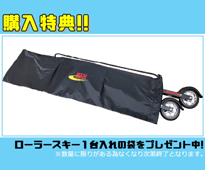 楽天市場】【購入特典キャンペーン中！】スウェノール ローラースキー 