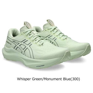 AVbNX GT-2000 14 X^_[h fB[X EBY jOV[Y WMO g[jO X|[c V[Y 2E V[  1012B843 asics 2025H~