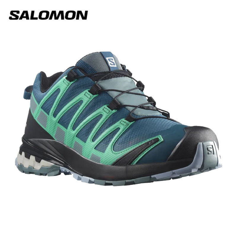 サロモン XA PRO 3D V8 GTX W (トレッキングシューズ・登山靴) 価格 