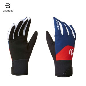 r_[ NXJg[XL[ O[u BD332810 O[uNVbN2.0 jZbNXEjp  Bjorn Daehlie y202201Az