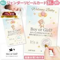 ジェンダーリビール カード 3枚セット 専用封筒3枚付き サプライズ 赤ちゃん 性別発表 ジェンダーリビー…