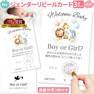 ジェンダーリビール カード 3枚セット 専用封筒3枚付き サプライズ 赤ちゃん 性別発表 ジェンダーリビー…