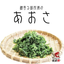 御所浦 冷凍あおさ 1袋（60g） お試しサイズ 小袋 健康 栄養 βカロテン ミネラル ビタミン あおさ 天草産 海藻