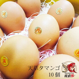 タマンゴ10個 送料無料 マンゴーの配合飼料で育てた鶏の高級 卵かけご飯 贈答品卵 贈答用卵 高級卵通販