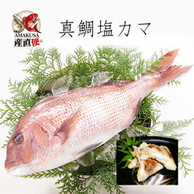 真鯛塩カマ100g 海鮮 冷凍 食べ物 ギフト 深川水産 産地直送 熊本県天草牛深産 お年賀 敬老の日 お吸い物 朝ごはん 簡単調理 まだい 鯛 タイカマ あす楽