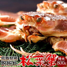 活松葉ガニ 訳あり［B特大］800g［かに特売セール］足折れ 生 松葉蟹 新物まつばがに 鳥取県産 ブランドマツバガニ 日本海ズワイガニ［産直食品ギフト］