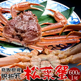活松葉ガニ 訳あり［B大］600g［かに特売セール］足折れ 生 松葉蟹 新物まつばがに 鳥取県産 ブランドマツバガニ 日本海ズワイガニ［産直食品ギフト］