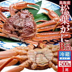 活松葉ガニ 訳あり［B中］500g［かに特売セール］足折れ 生 松葉蟹 新物まつばがに 鳥取県産 ブランドマツバガニ 日本海ズワイガニ［産直食品ギフト］