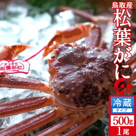 活松葉ガニ［中］500g タグ付き［かに特売セール］活き松葉蟹 新物 生まつばがに 鳥取県産 ブランドマツバガニ 日本海ズワイガニ［産直食品ギフト］