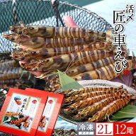 車海老 天草［活〆冷凍］特大 2L 12尾［6尾入250g×2P］車エビ 刺身 焼き フライ 熊本県 養殖 クルマエビ…