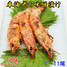 車海老の味噌漬け 250g 7〜11尾 (中〜大サイズ) 250g×1パック【一級品の車海老】のみを素材に使用！/車エビの味噌漬け