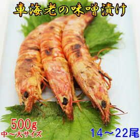 車海老の味噌漬け 500g 14〜22尾 (中〜大サイズ) 250g×2パック【一級品の車海老】のみを素材に使用！/車エビの味噌漬け