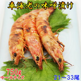 車海老の味噌漬け 750g 21〜33尾 (中〜大サイズ) 250g×3パック【一級品の車海老】のみを素材に使用！/車エビの味噌漬け