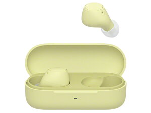 �y��������/�\�j�[����X�̔��zSONY �C���z�� WF-C510