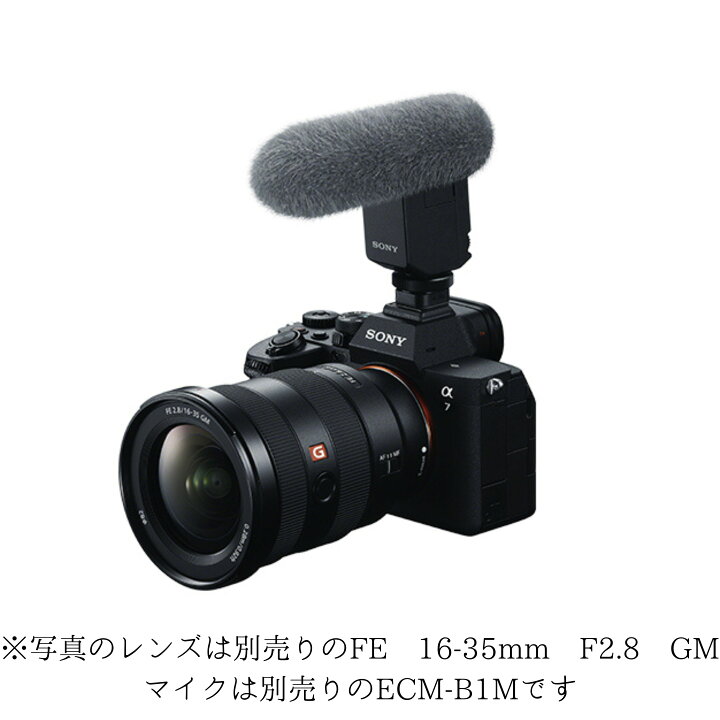 楽天市場】【ソニー特約店販売】【送料無料】SONY α7 IV ボディのみ  