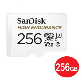 サンディスク ドライブレコーダー用 高耐久 microSDXCカード 256GB Class10 UHS-1 U3 V30防犯カメラ ドラレコ対応 microSDカード 海外リテール SDSQQNR-256G-GN6IA メール便送料無料