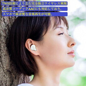 送料無料 Sabbat X12pro 正規 ワイヤレスイヤホン Bluetooth Ver.5.2 iPhone & Android対応 インナー型