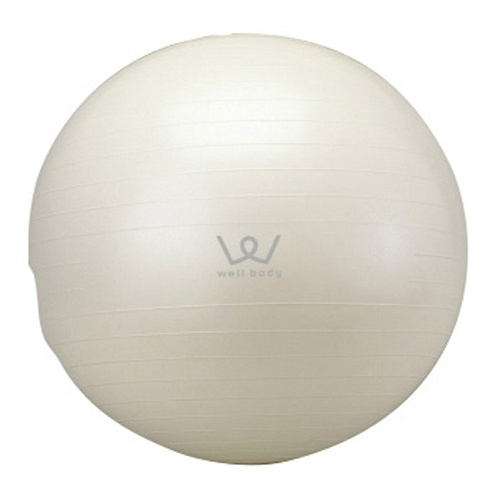 アルインコ WBN065 ついに再販開始 エクササイズボール 65cm !超美品再入荷品質至上!