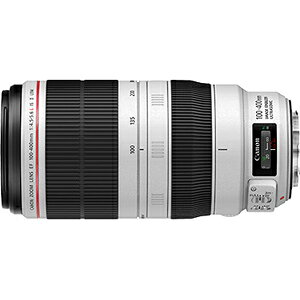 yۏؕtzCANON(Lm) EF100-400mm F4.5-5.6L IS II USM LmEF}Eg ]Y[Y