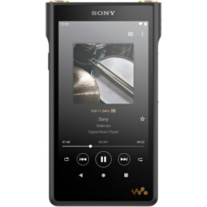 yۏؕtz\j[(SONY) NW-WM1AM2 EH[N}WM1V[Y 128GB