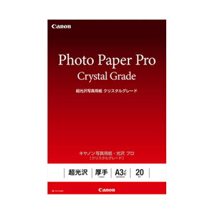 CANON(Lm) CR-101A3N20  ʐ^pE v NX^O[h A3mr