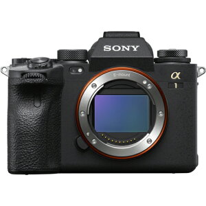 �y�����ۏؕt�z�\�j�[(SONY) ��1 �{�f�B ILCE-1 �t���T�C�Y �~���[���X���J���� ILCE1