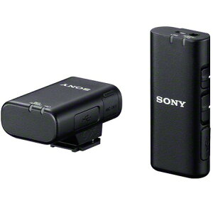 �\�j�[(SONY) ECM-W2BT ���C�����X�}�C�N���z��