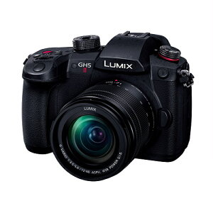 y5Nۏؕtzpi\jbN(Panasonic) LUMIX DC-GH5M2M WY[YLbg