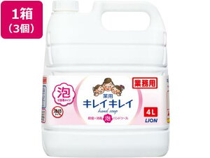 ̑ ƖpLCLCpAnh\[v4L×3[s]