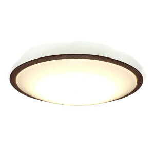 ACXI[}(Iris Ohyama) CL8DL-5.11WFV-M EH[ibg LEDV[OCg  Ebht[ 8F