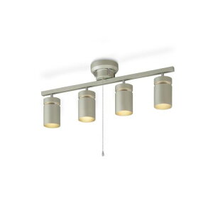 ACXI[}(Iris Ohyama) CE4LA-22SS-MS ^bNVo[ 4V[OCg