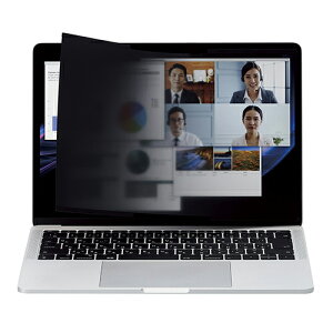 �G���R�� ELECOM EF-PFNS133W10 �p�\�R���p �v���C�o�V�[�t�B���^�[ 13.3W�C���` 16:10 �z���^�C�v EFPFNS133W10