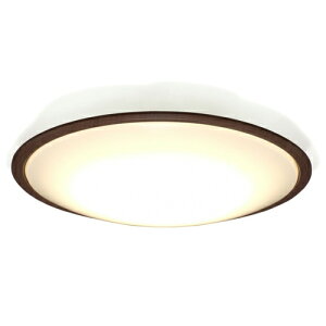 ACXI[}(Iris Ohyama) CEA12DL-5.0QWFM LEDV[OCg 12F Ebht[