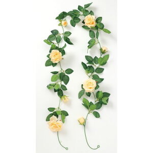 A[ebN tFCNO[ K[h o IW 75217 fBXvC@W@@Cxg@@Ղ@fR[V@ԁ@tFCNO[