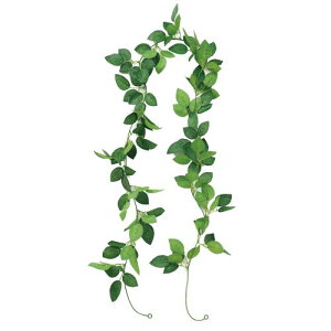 A[ebN tFCNO[ K[h o t̂ 75219 fBXvC@W@@Cxg@@Ղ@fR[V@ԁ@tFCNO[