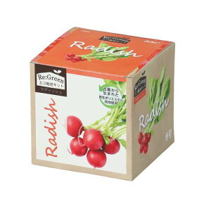 A[ebN GR͔|Lbg Re:Green fBbV 102975 ͔|Lbg@Hו@|@͔|@R@ċx݁@؁@v[g@ii@fBbV