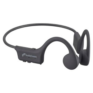 I[d@(OHM) HP-BC110N AudioComm `Cz 03-1666