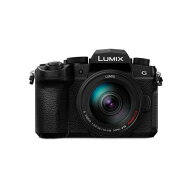 【長期5年保証付】パナソニック Panasonic LUMIX DC-G99M2H 高倍率ズームレンズキット マイクロフォーサ…
