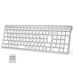 �A�C�N���o�[(iClever) GKJ22S �V���o�[�z���C�g ���C�����X�L�[�{�[�h ���{��z��