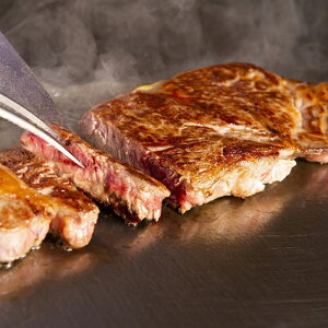 �{�苍�T�[���C���X�e�[�L�p2���i�v300g�j[����s��]