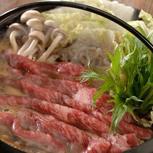 {茧Y􋍁iGj[XĂpi600gj[s]