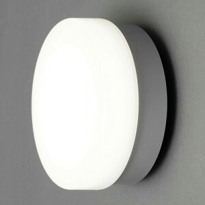 �A�C���X�I�[���}(Iris Ohyama) IRCL5N-CIPLS-BS �V���o�[ �|�[�`�E������ �~�^ 500lm�����F