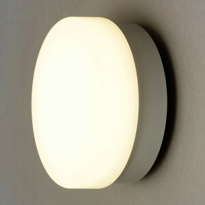 �A�C���X�I�[���}(Iris Ohyama) IRCL5L-CIPLS-BS �V���o�[ �|�[�`�E������ �~�^ 500lm�d���F