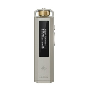 FiiO(�t�B�[�I) FIO-SSENANO-G �`�^�j�E���S�[���h Snowsky ECHO NANO �|�[�^�u���I�[�f�B�I�v���[���[ �n�C���]�E���X���X USB DAC����